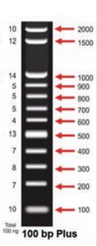 100 BP Plus DNA Ladder, for Clinical, Hospital, Color : Black
