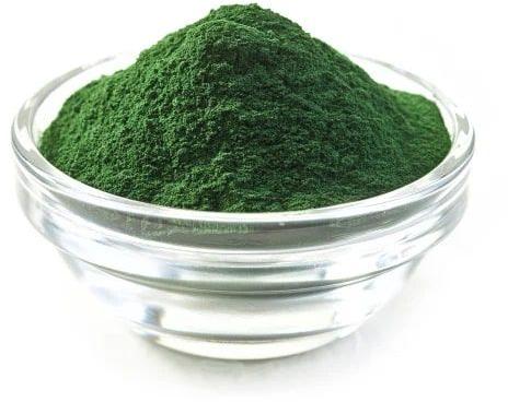 Dried Spirulina Powder