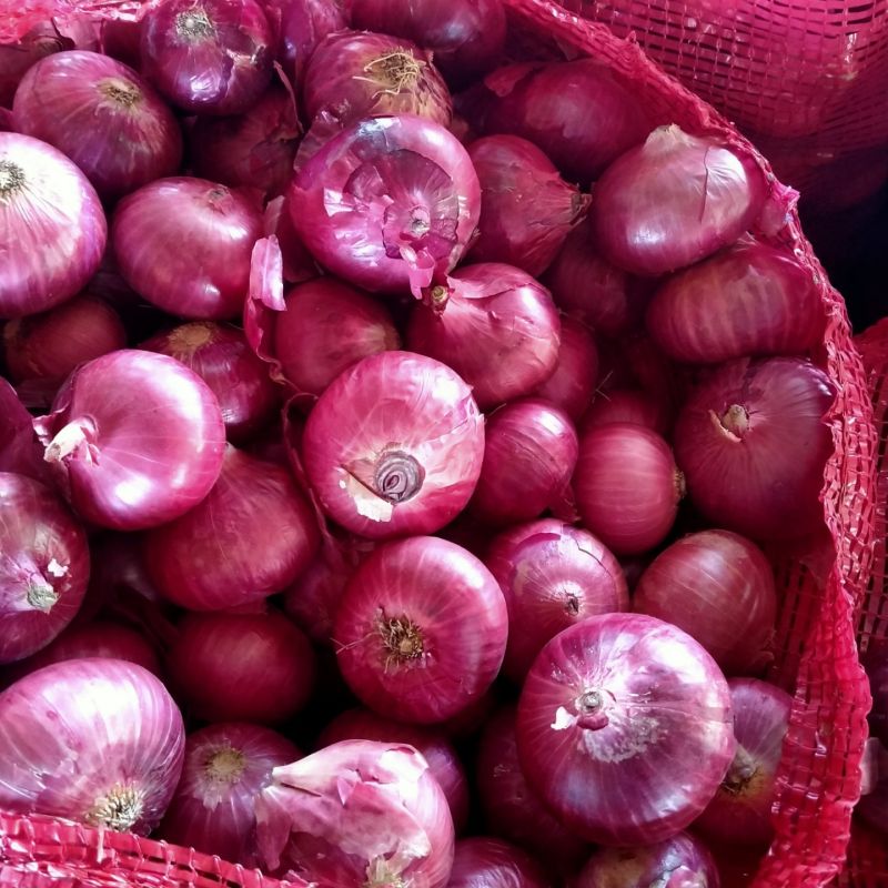 Fresh Red Onion, For Human Consumption, Cooking, Human Consumption, Packaging Size : 20kg, 50kg