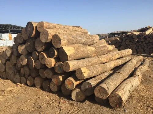 Rectangular Ash Wood, Length : 8 Feet