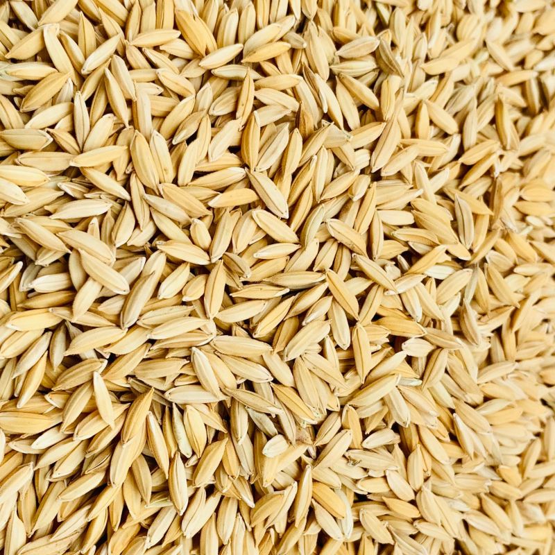 Mechanical Paddy, Certification : CE Certified