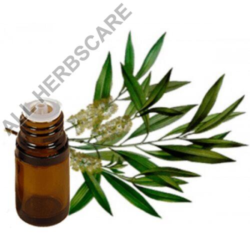Tea Tree Oil, for Aromatherapy, Cosmetics, Purity : 100% Pure