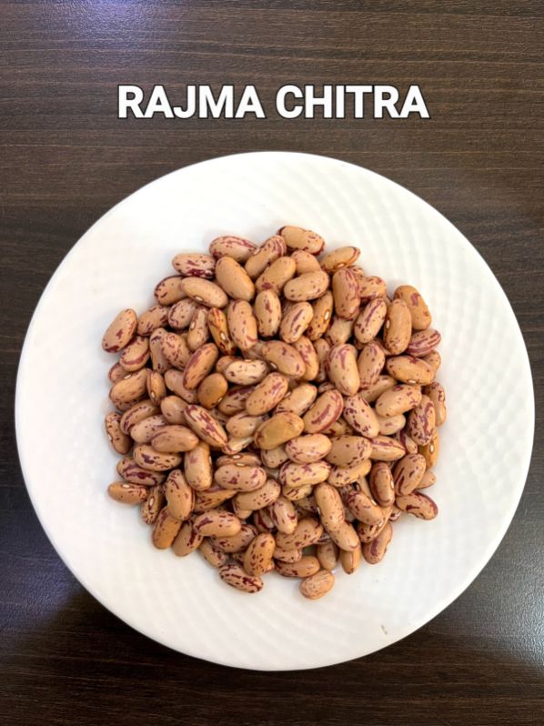 Organic Chitra Rajma, for Cooking, Packaging Size : 10kg, 20kg