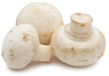 Organic Button Mushroom, for Cooking, Style : Fresh