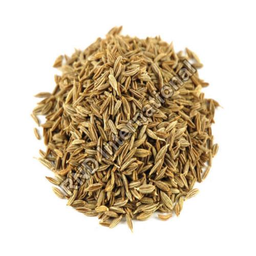 Organic Cumin Seeds, for Food Medicine, Packaging Type : Plastic Packet