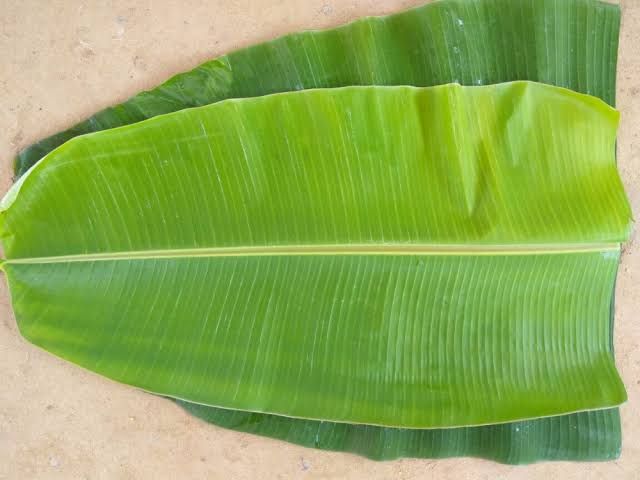 Common banana leaf, Feature : Highly Effective