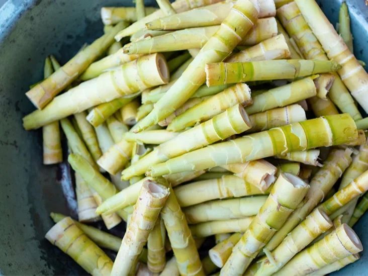 Round Natural Bamboo Shoots, For Human Consumption, Certification : Fssai Certified