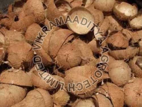Coconut Shells