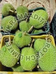Organic Fresh Durian Fruit, for Human Consumption, Color : Green