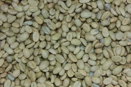 arabica coffee beans
