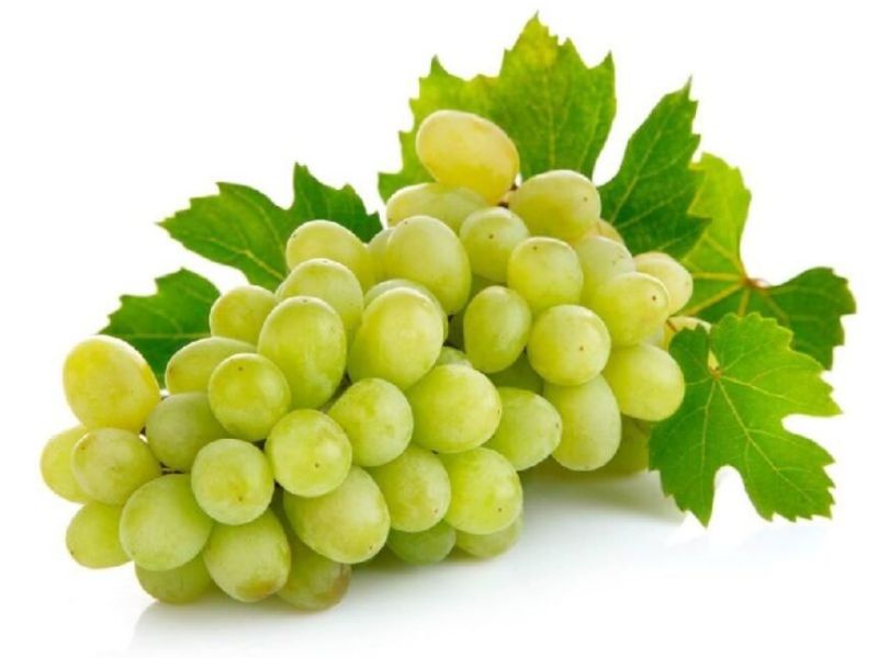 Natural Fresh Green Grapes, Packaging Type : Plastic Packet