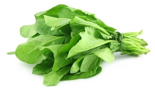Natural Fresh Spinach, for Cooking, Shelf Life : 10 Days