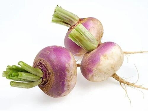 Fresh Turnip