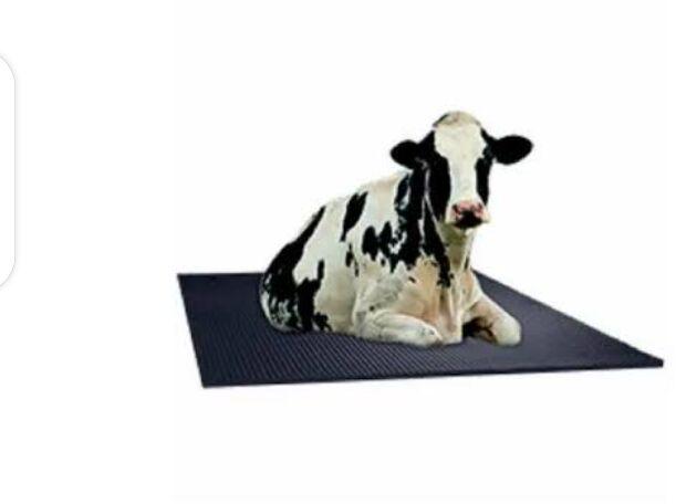 Cow mats, Feature : Easy To Clean, Anti Slip