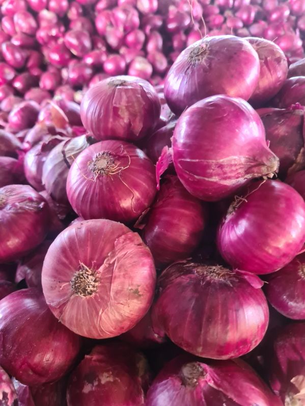 Fresh Red Onion, For Hotels, Restaurent, Home, Packaging Type : Gunny Bag