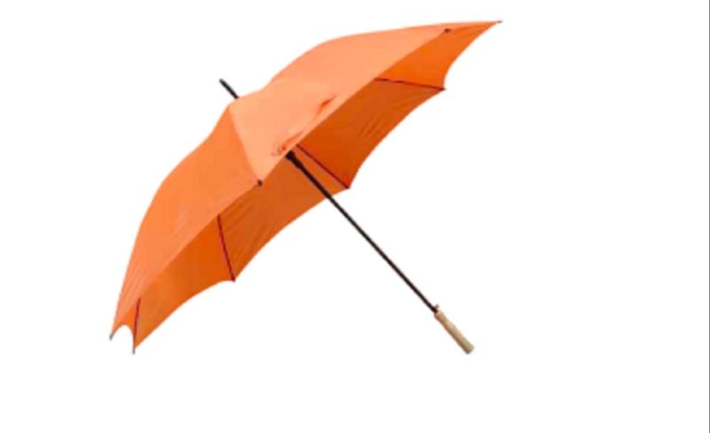 Plain Polyester 30 Inch Straight Umbrella, Handle Material : Iron