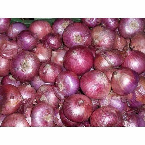 A Grade Maharashtra Nashik Pink Onion, Packaging Size: 50 Kg