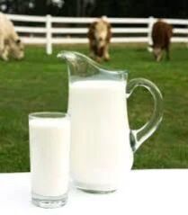 Fresh Buffalo Milk