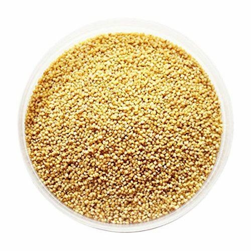 Yellow Natural Foxtail Millet Seeds, for Cooking, Packaging Type : Gunny Bag