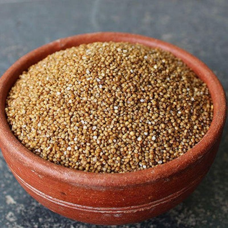 Brown Natural Kodo Millet Seeds, for Cooking, Packaging Type : Gunny Bag