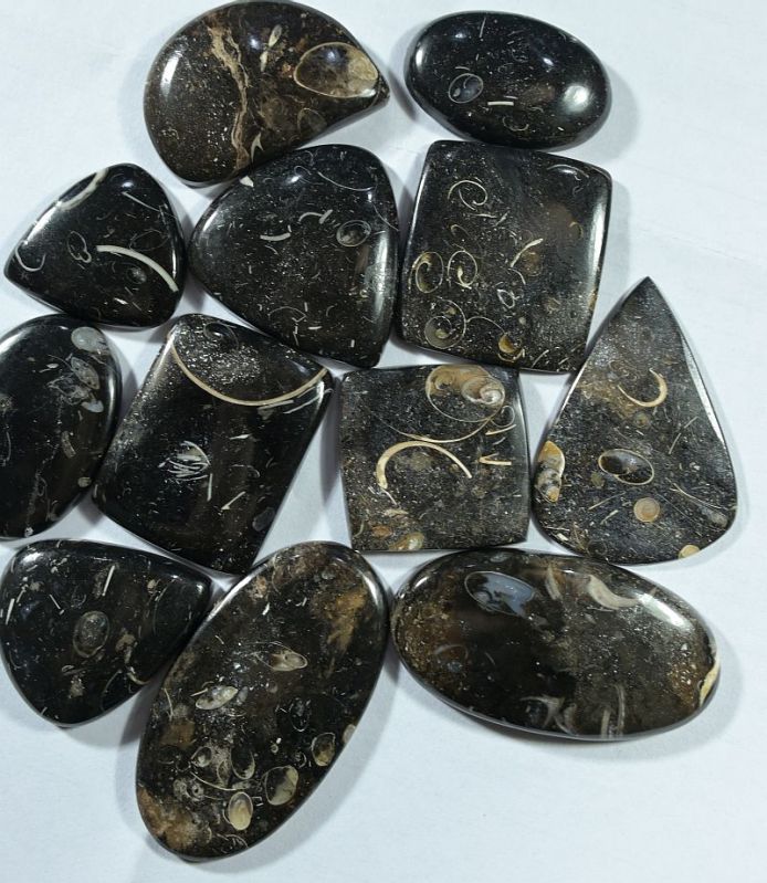 Black Fossil Turritella Cabochon Agate Gemstone, for Jewellery, Feature : Anti Corrosive, Colorful Pattern