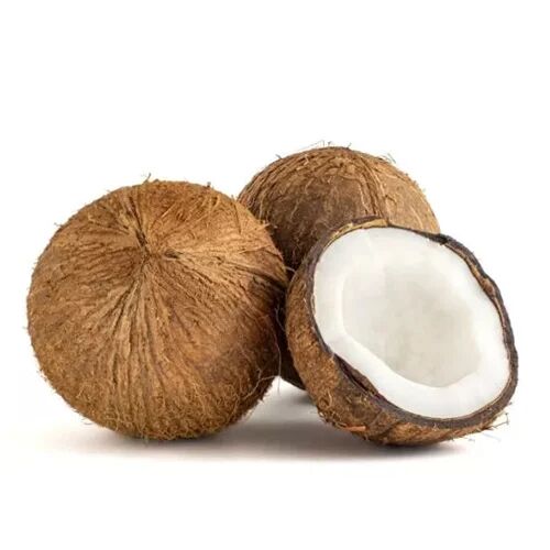Semi Husked Hard Common Fresh Coconut, for Pooja, Cooking, Packaging Type : Gunny Bags