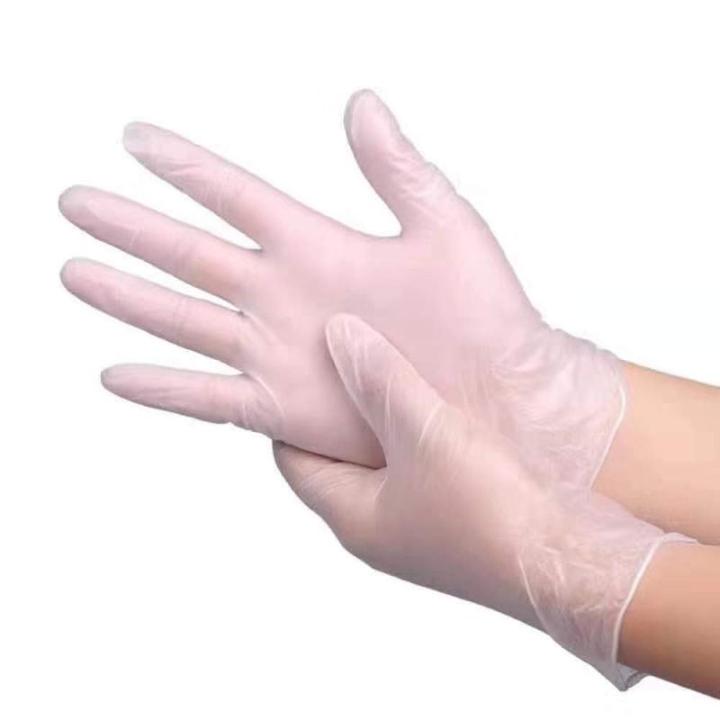 Vinyl Gloves