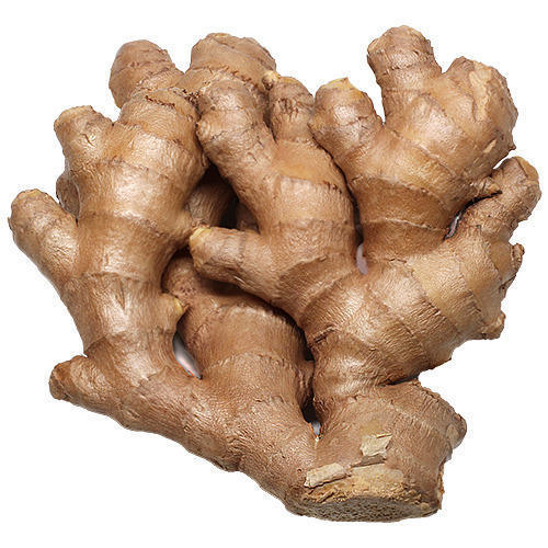 Light Brown Natural Fresh Ginger, for Cooking, Packaging Type : Gunny Bags