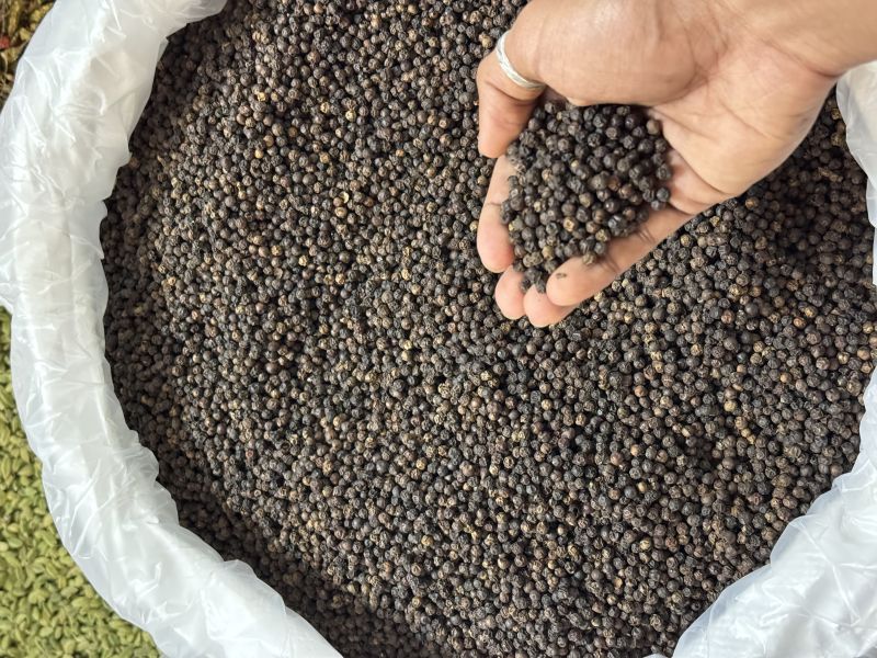 Organic black pepper, Grade Standard : Food Grade