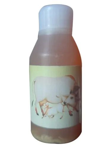 Yellow Liquid Fresh Cow Urine, for Medicine Use, Personal Use, Purity : 100%