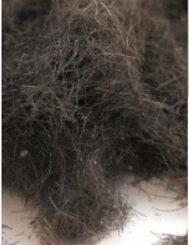 Black Human Hair, for Parlour, Personal, Capacity : 10kg