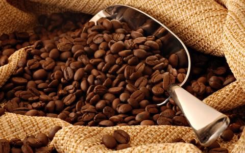 Arabica and Robusta Coffee beans