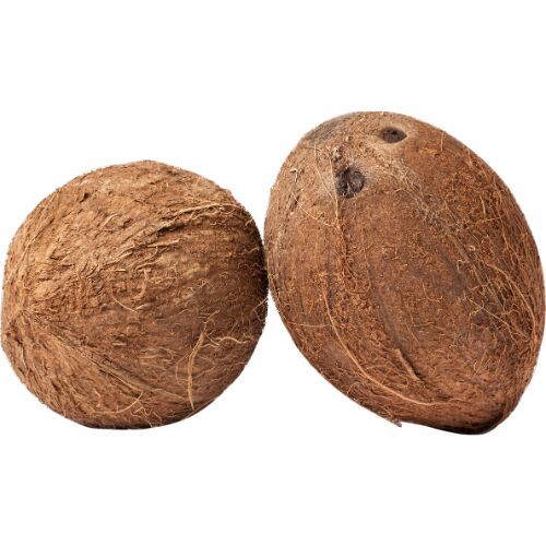 Natural fully husked coconut for Pooja