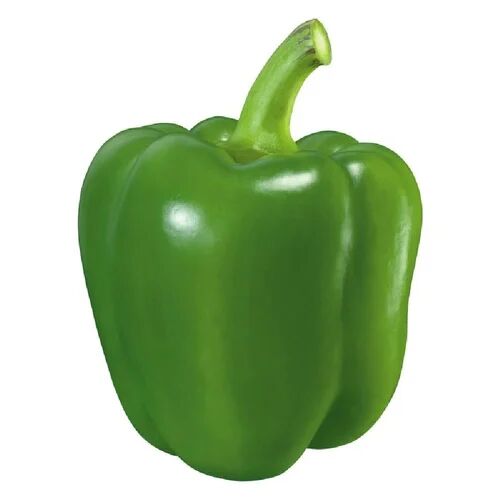 Fresh Green Capsicum, for Human Consumption, Packaging Size : 10 Kg