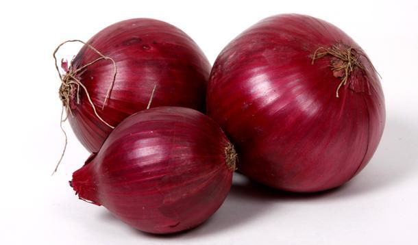 Fresh red onion for Human Consumption