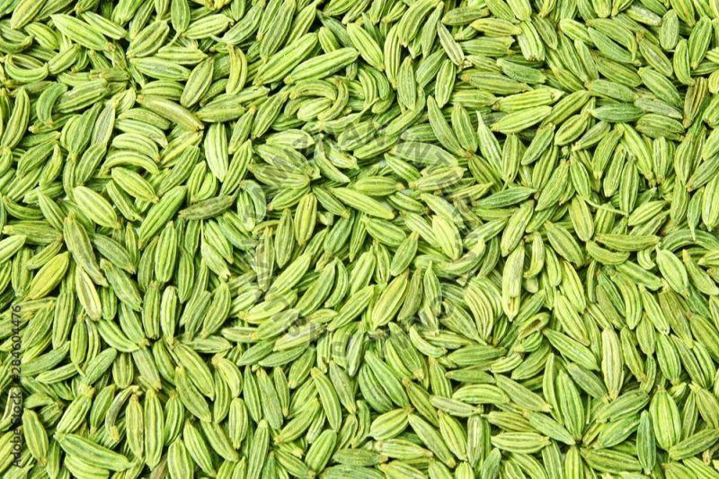Natural A Grade Fennel Seeds, Packaging Type : Plastic Packet