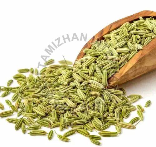 Natural Indian Fennel Seeds, Packaging Type : Plastic Packet