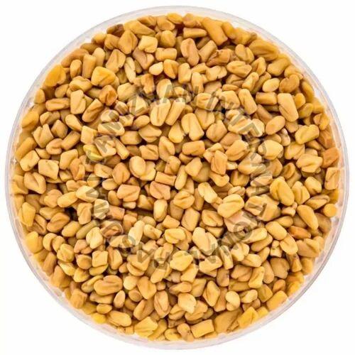 Yellow Natural Indian Fenugreek Seeds, for Cooking, Grade Standard : Food Grade