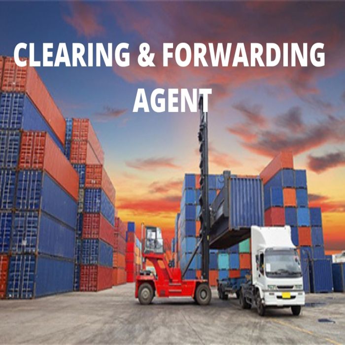 Cargo Clearing & Forwarding Services