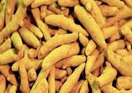 Yellow Turmeric Finger, for Spices