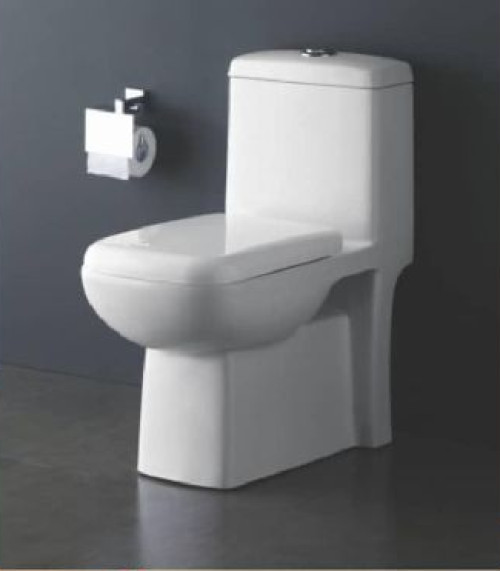 White Ewc Toilet