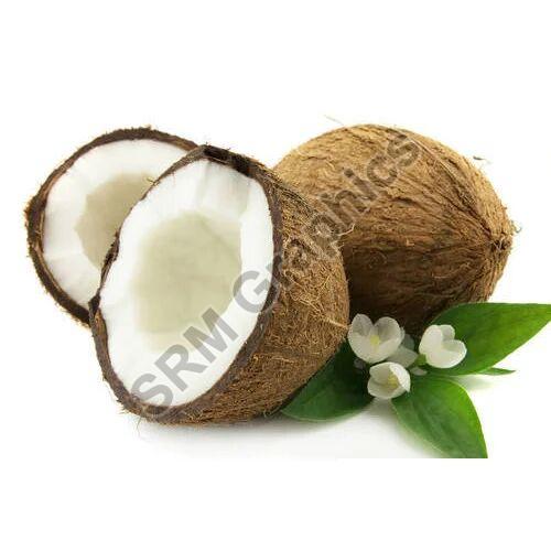 Solid Natural Fresh Coconut, for Pooja, Medicines, Cosmetics, Cooking, Packaging Type : Gunny Bags