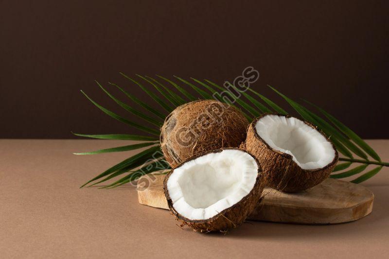 Natural Fresh Husked Coconut, Packaging Type : Gunny Bags