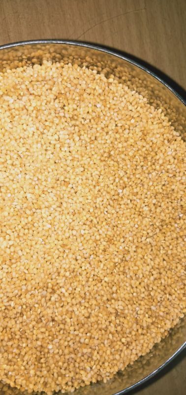 Natural Foxtail Millet, Feature : Non Harmful, Gluten Free