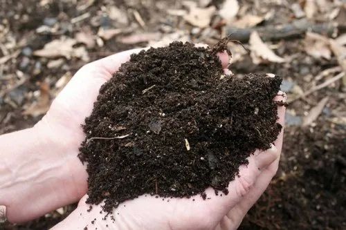 Brown Natural Bio Vermicompost, for Agriculture, Packaging Size : 20 Kg