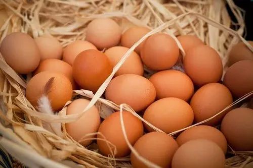 Pure Organic Chicken Egg