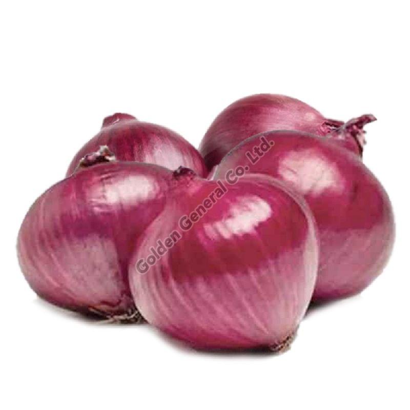 fresh red onion