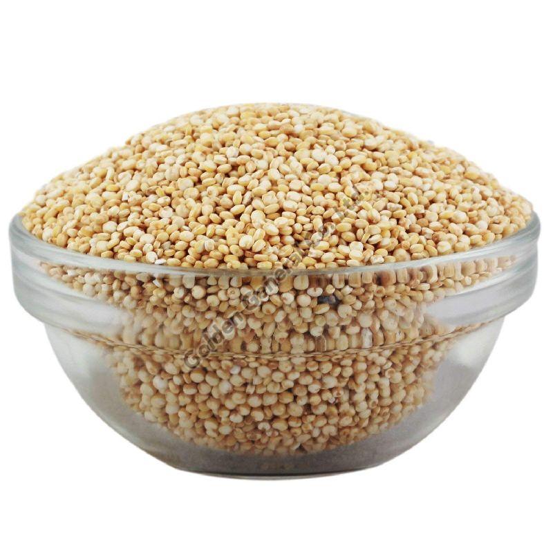 Quinoa Seeds