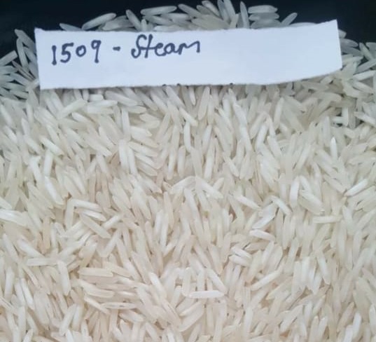 1509 Steam Rice