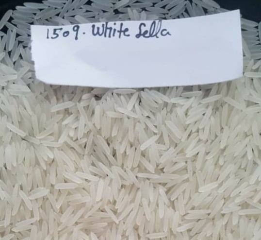 1509 White Sella Rice